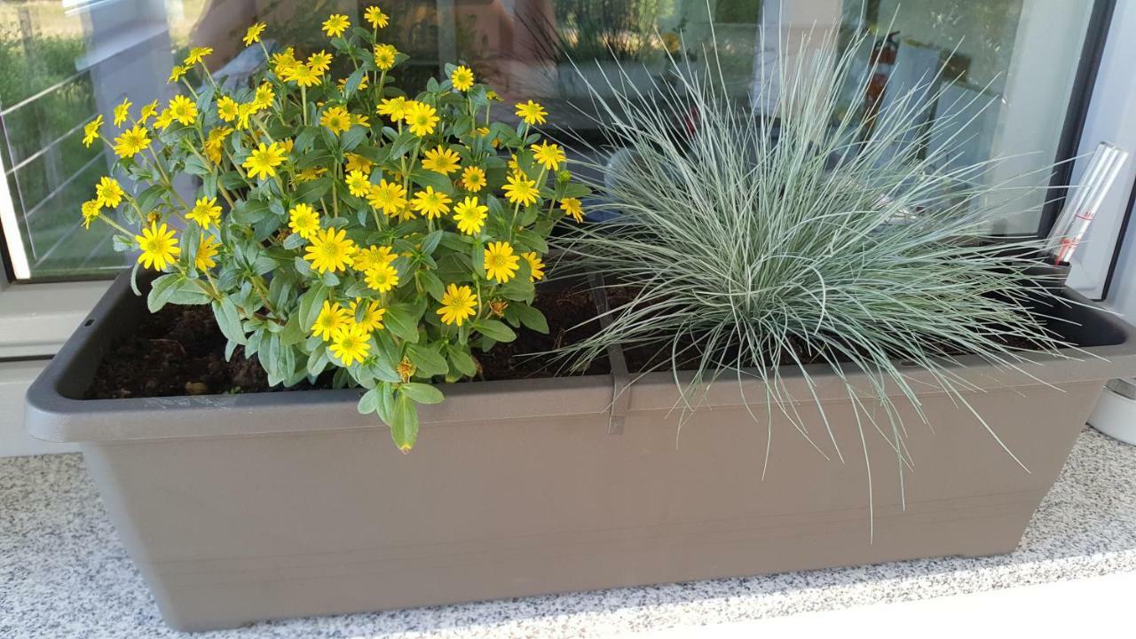 Na Off Vila Radenci Exterior foto